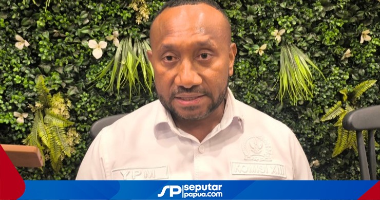 DPR RI Targetkan RUU Provinsi Papua Utara Masuk Prolegnas 2027, Pembahasan Surpres Jadi Prioritas