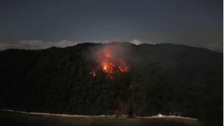 Karhutla Raja Ampat Hanguskan 7,25 Hektare Lahan di Pulau Dayan, Pemicunya Pembakaran Kebun Warga