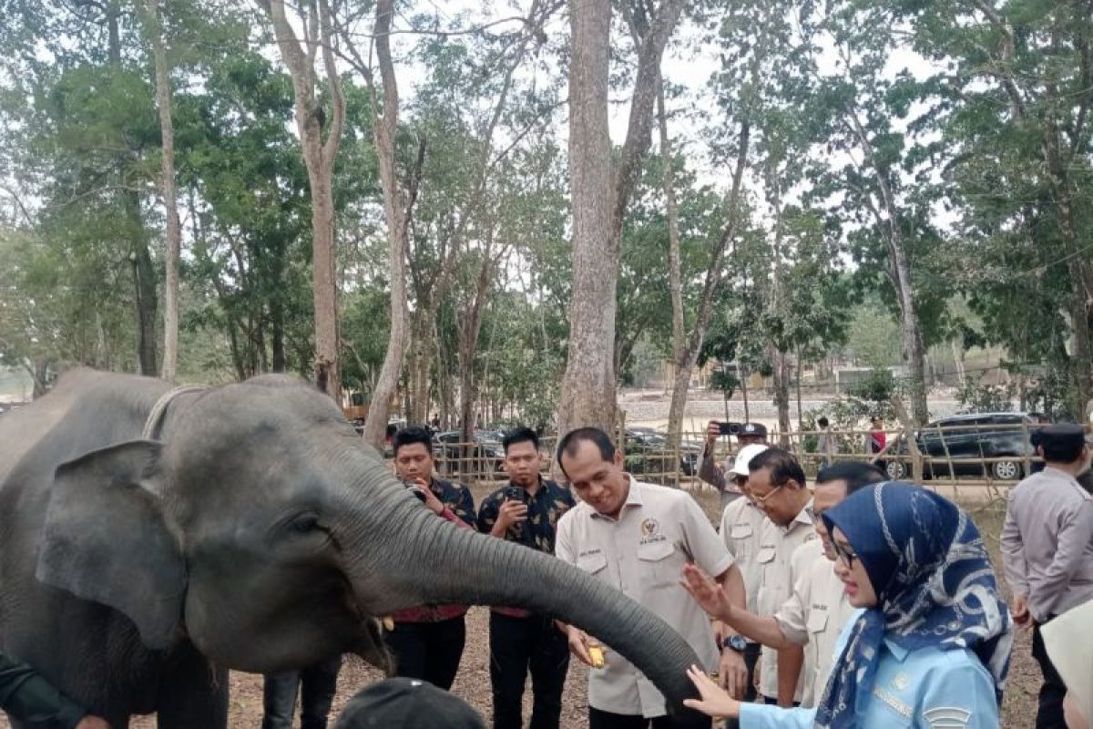 Komisi IV DPR Minta Way Kambas Evaluasi Sistem Pencegahan Karhutla, Bukan Sekadar Padamkan Api