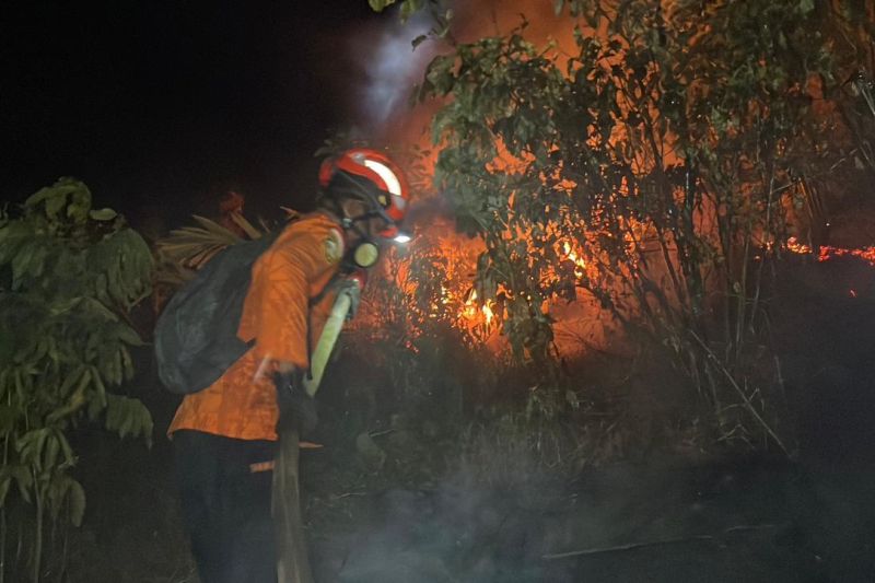 Api Karhutla di Donggala Ancam Permukiman Warga, 12 Personel Basarnas Palu Dikerahkan Padamkan