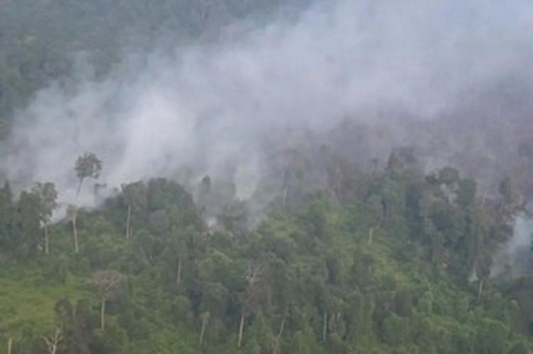 Karhutla Riau Kembali Meluas, Api Padam Mendadak Hidup Lagi di Inhu dan Bengkalis, Tiga Daerah Kini Terkepung Asap