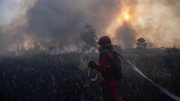 Menhut: Asap Karhutla Kalbar Tetap Selimuti Wilayah Meski Hotspot Turun