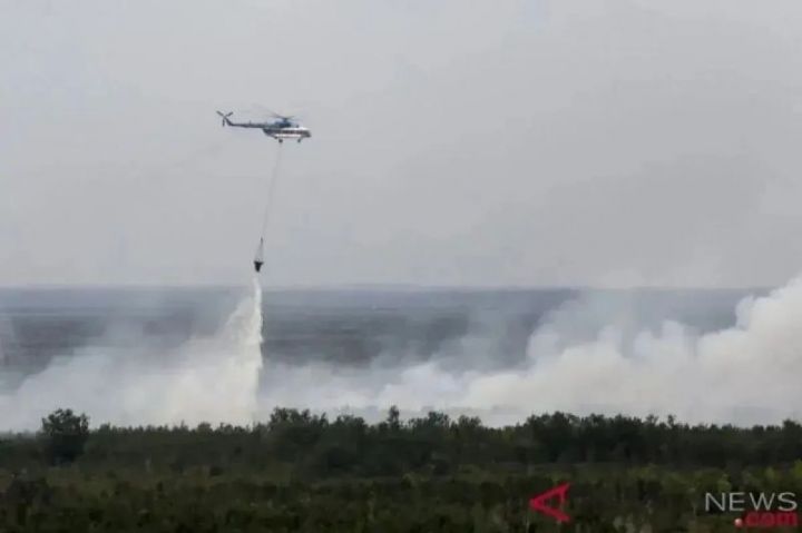 BNPB Kerahkan 9 Helikopter Water Bombing untuk Karhutla di Kalbar, 3 Chinook Jepang Menyusul Pekan Depan