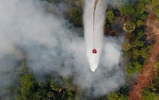 Titik Api yang Sudah Padam Menyala Lagi, Water Bombing Dikerahkan ke Tiga Wilayah Riau