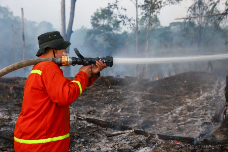 Otorita IKN Proses Hukum Satu Terduga Pembakar Lahan, Perusahaan Perkebunan Dikenai Sanksi