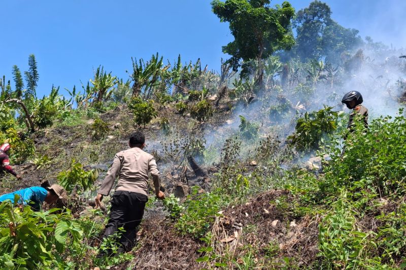 Karhutla Hanguskan 3,5 Hektare Lahan di Parigi Moutong, Sisa Titik Asap di Puncak Gunung Masih Terpantau