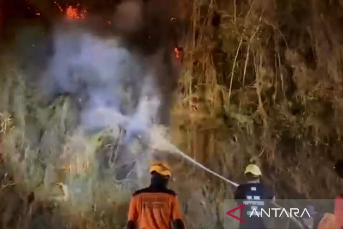 Karhutla di Enrekang Sepanjang 2026 Hanguskan 207 Hektare Lahan, Gunung Lakawan Masih Terbakar