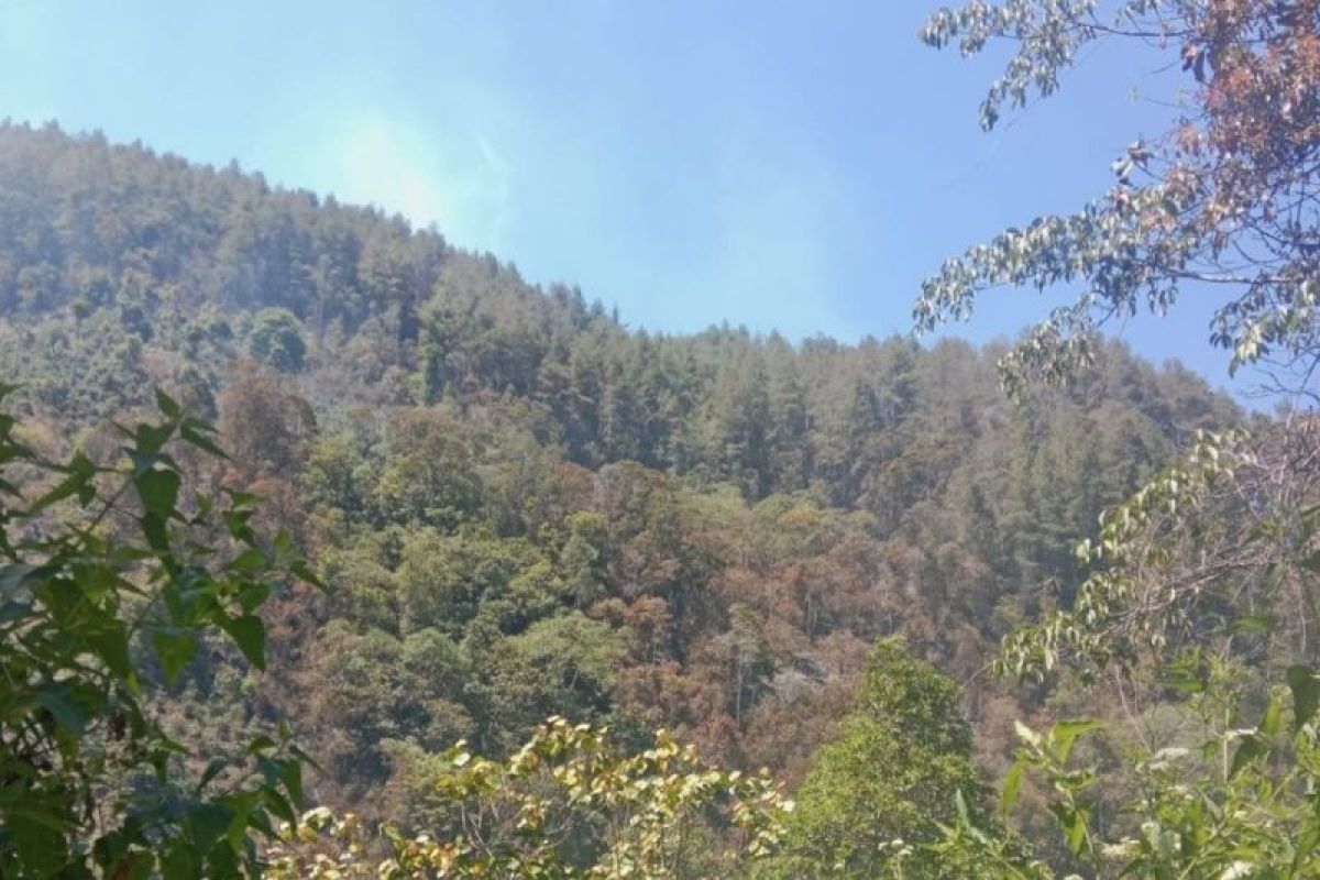 Karhutla di Gunung Latimojong Enrekang Landai, Api Padam Bergantian di Dua Kecamatan