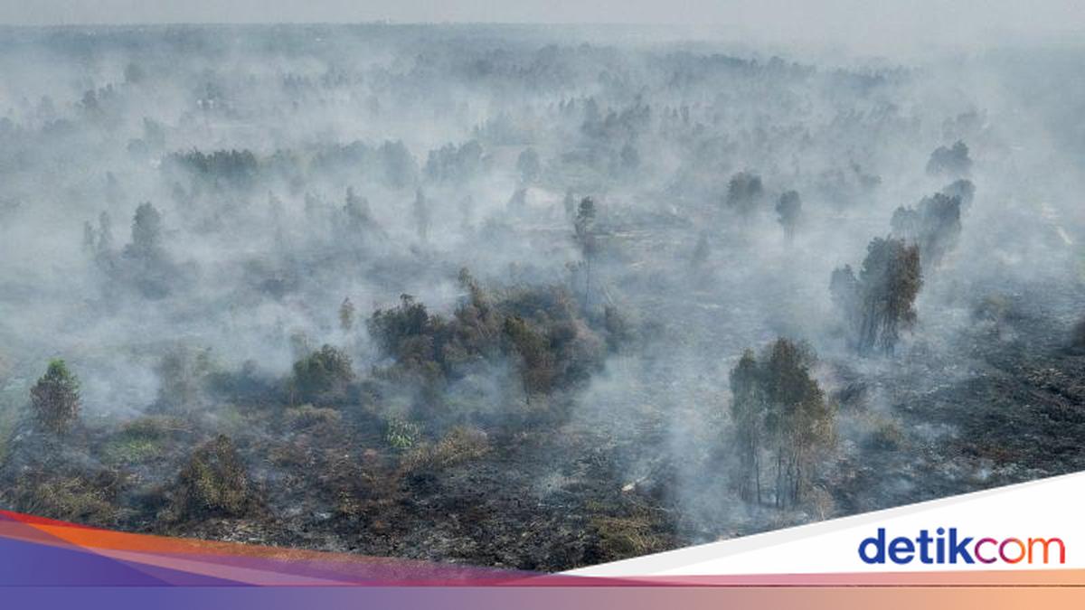Kebakaran Hutan dan Lahan di Kalsel Tembus 12.339 Hektare per September, BPBD Fokus Amankan Ring Satu Bandara