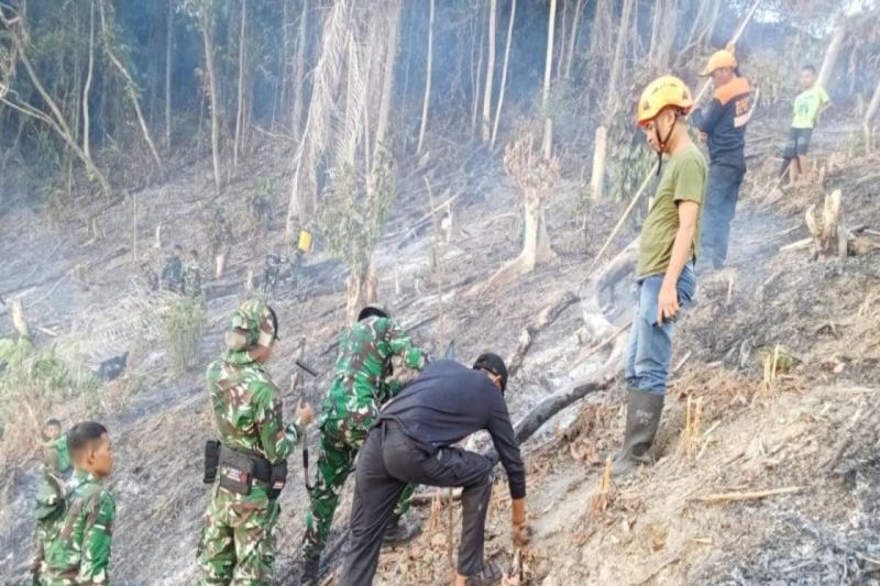 Karhutla di Sulteng Tembus 3.138 Hektare, Pemprov Kerahkan 13 KPH Edukasi Warga