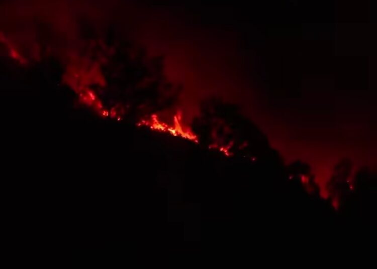 Karhutla Ijen Meluas, BBKSDA Jatim Sebut Api Masuk TWA Kawah Ijen