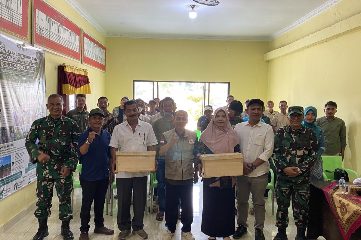 Cegah Konflik Gajah di Way Kambas, Pagar Sarang Lebah Jadi Solusi dan Untungkan Warga