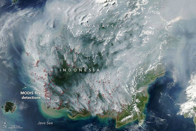 MODIS NASA Deteksi Ribuan Titik Panas di Kalimantan, Kebakaran Gambut Lepaskan Polusi 3 Kali Lipat