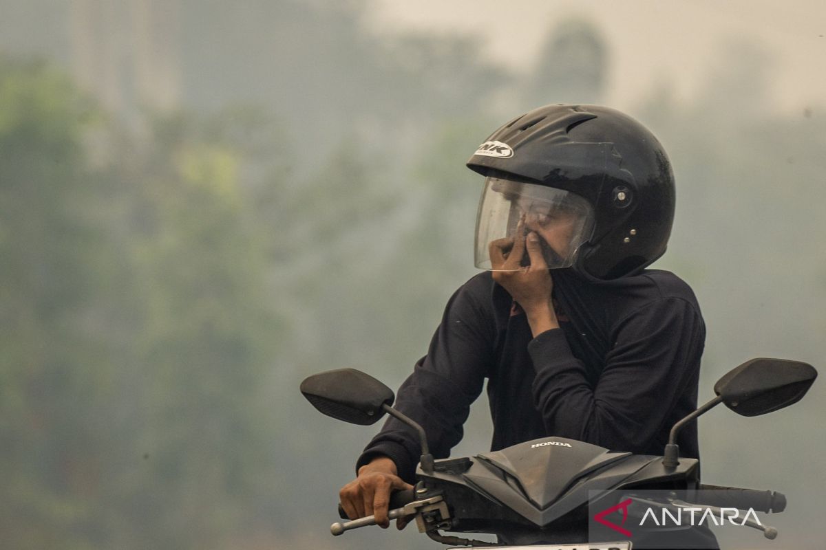 KLH Tindak 21 Perusahaan Karhutla di Kalimantan-Sumatera, Luas Lahan Terbakar Capai 11.404 Hektare