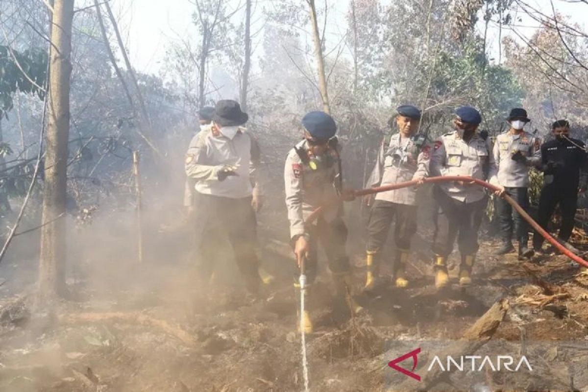 7 Perusahaan Sawit Kena Sanksi Karhutla di Kalbar, Izin Usaha Dicabut, Lahan Terbakar Capai 2.568 Hektare