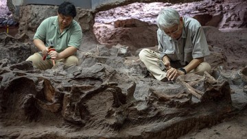 Riset Fosil Dinosaurus di Thailand Timur Laut Ungkap Spesies Baru Kirin