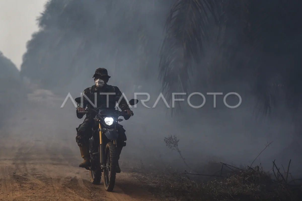Karhutla Lahan Gambut di Muaro Jambi Capai Hampir 100 Hektare, Tim Gabungan Berjibaku Padamkan Selama 20 Hari