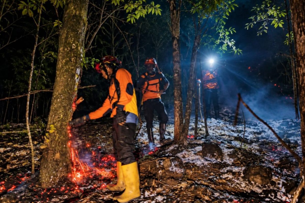 Kebakaran Hutan di Lereng Gunung Lemongan Lumajang Hanguskan 3 Hektare, Padam Total Rabu Malam