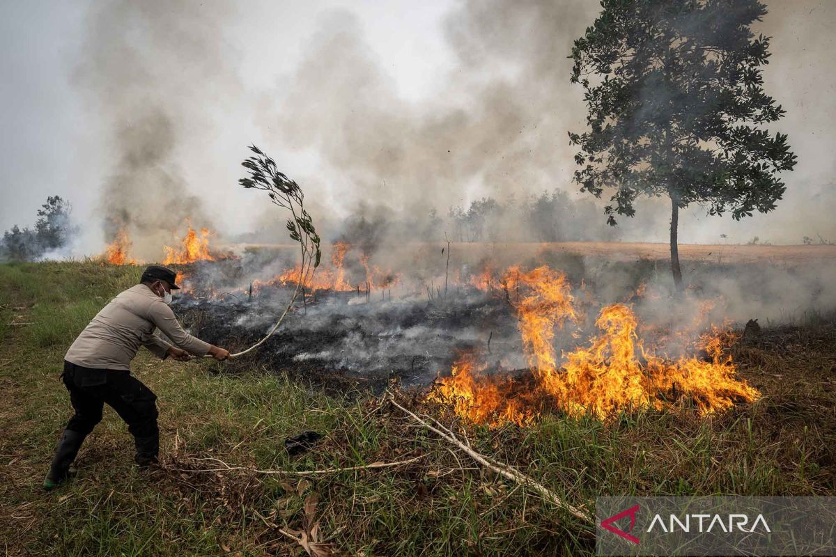 Karhutla Kalimantan Ancam Habitat Satwa, Anggota DPR Minta Evakuasi Tak Tunggu Kondisi Kritis