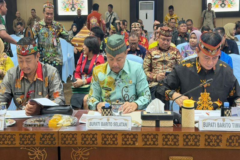 2.037 Titik Panas Terdeteksi di Barito Selatan Sepanjang 2026, Puncaknya Terjadi Agustus