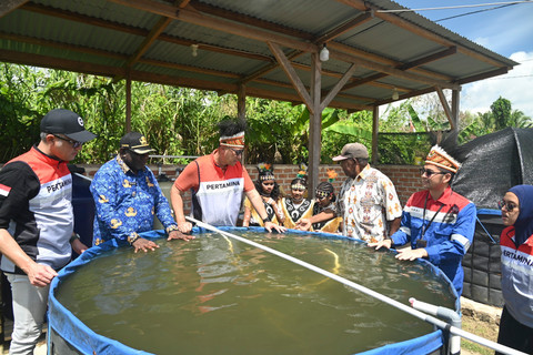Cerita Warga Papua yang Sukses Besarkan Ikan Nila 2 Kg Berkat Panel Surya