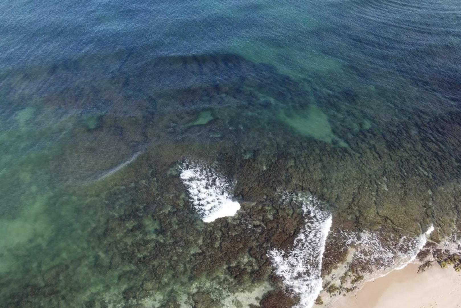 Kehancuran Sistem Sewage Gaza oleh Israel Diduga Perparah Krisis Alga di Laut Mediterania