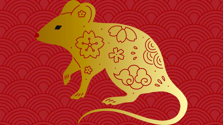Ramalan Zodiak September 2026: Shio Naga dan Kerbau Panen Keberuntungan