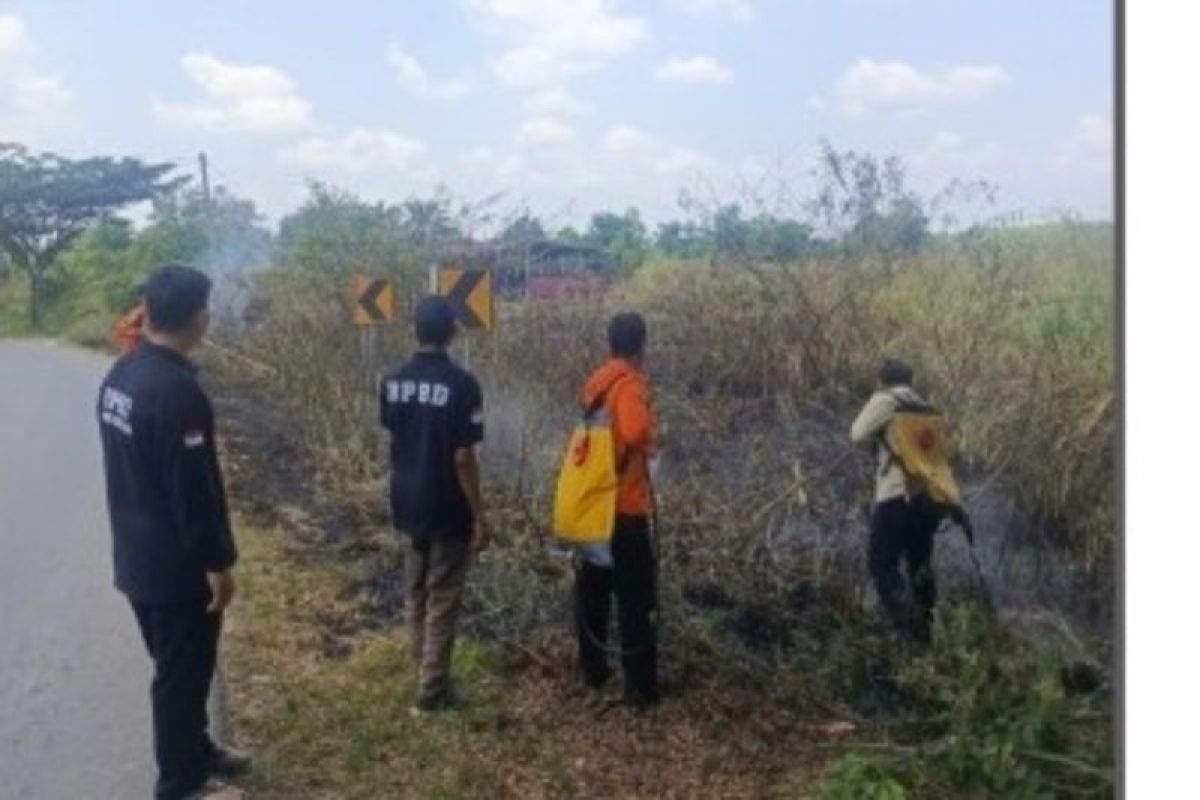 Karhutla Hanguskan 1 Hektare Lahan Kosong di Padang Lawas Utara, BPBD Sumut Pastikan Api Padam
