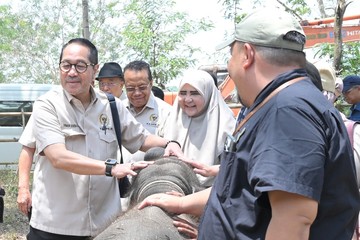 Firman Soebagyo Soroti Kegagalan Pemadaman Karhutla Way Kambas, Dorong Anggaran Deteksi Dini