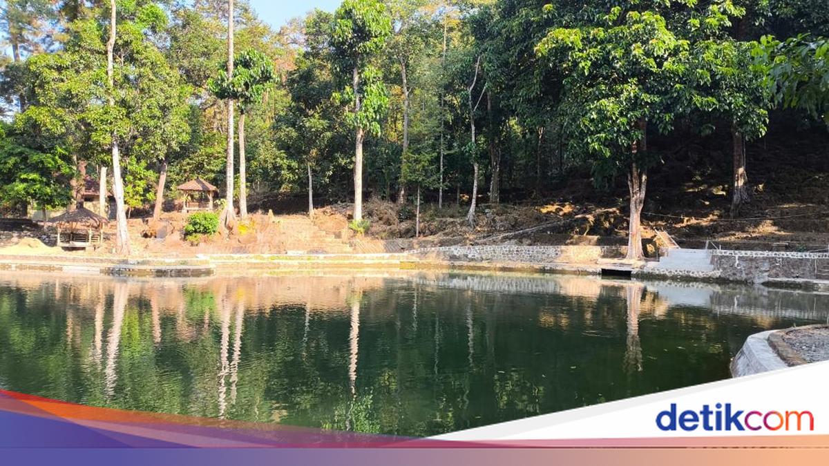 Wisata Alam Cibuluh Kuningan: Berenang Bersama Ikan Dewa di Kaki Ciremai