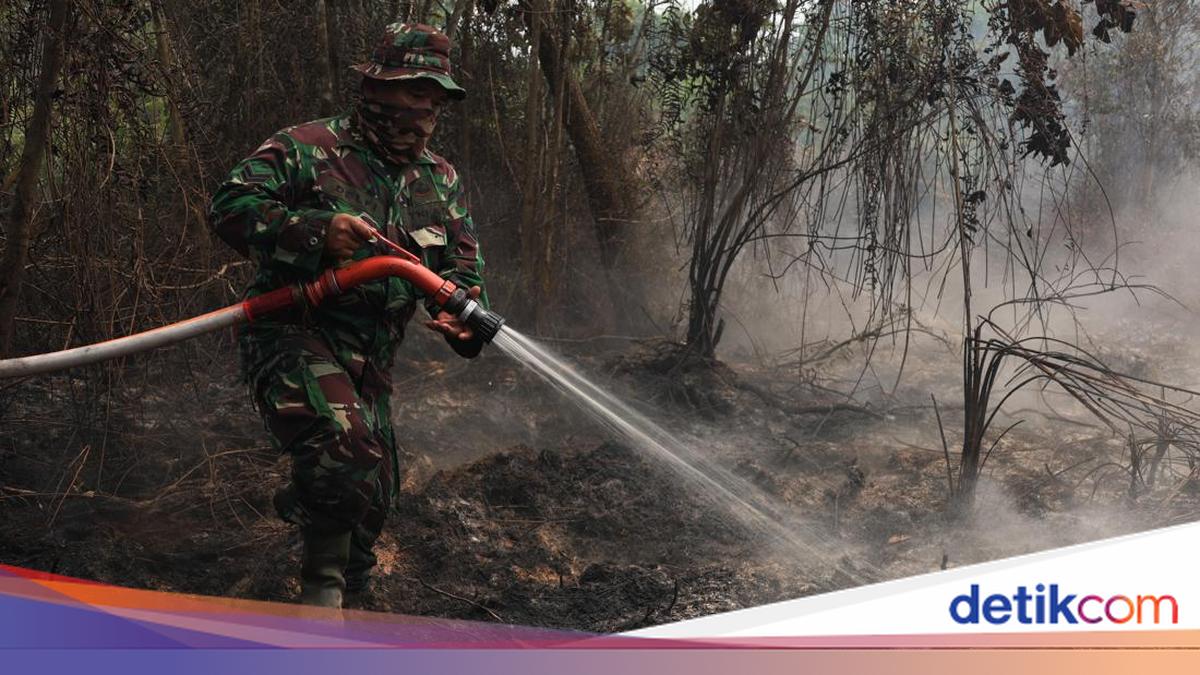 Karhutla Kalbar Masih Sisakan 372 Hektare Lahan Terbakar, BNPB Perkuat Pasukan Darat di Gambut