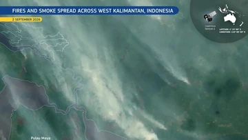 Satelit Copernicus Tangkap Karhutla Ketapang, Sebaran Asap Terekam dari Angkasa
