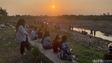 Bendung Karet Sungai Juana Pati Kering, Ribuan Ikan Sapu-sapu Terdampar Jadi Tontonan Warga
