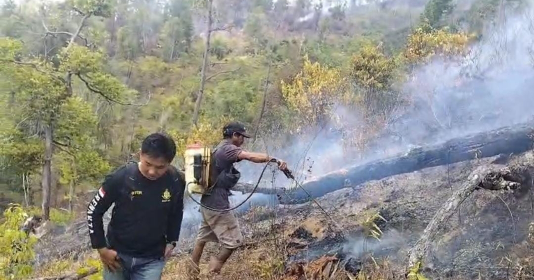 Karhutla Toraja Utara Meluas, 3 Hektare Lahan di Rantebua Hangus, Api Mendekati Permukiman