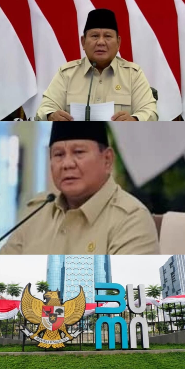 Danantara Bantai BUMN Tak Produktif, Target Tutup 700 Perusahaan Hingga Akhir 2026