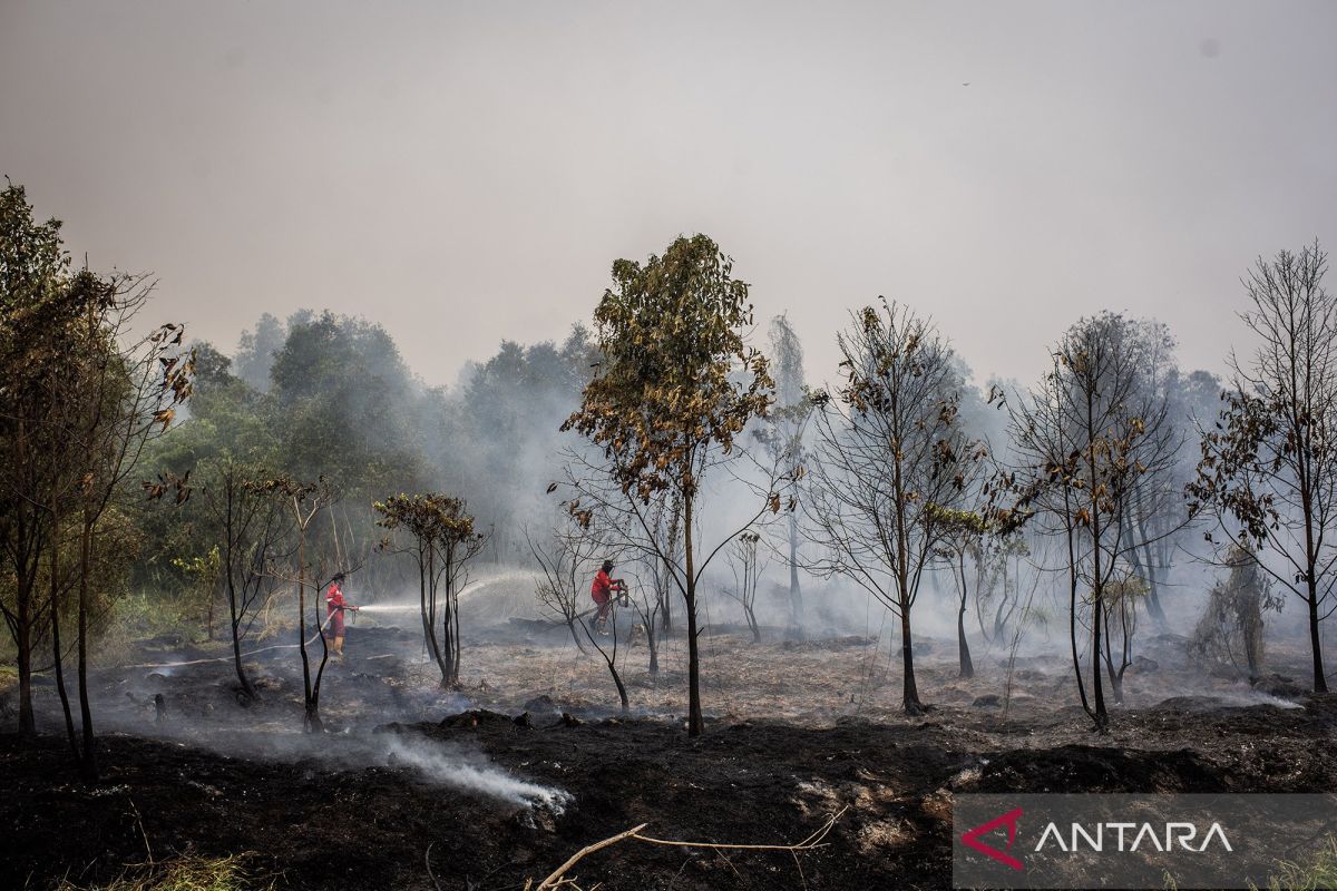 KLH Pasang Segel Pengawasan 21 Perusahaan di 7 Provinsi, 11.404 Hektare Lahan Terbakar
