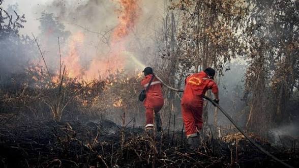 Karhutla Riau Tembus 18.770 Hektare, Pelalawan Catat Penambahan Terbesar 64 Hektare dalam Sehari