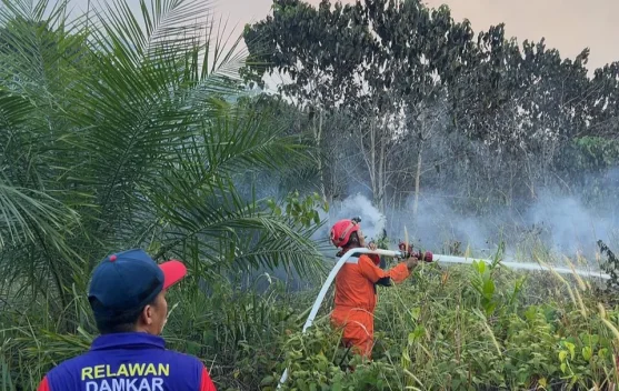 Karhutla di Tabalar Berau Hanguskan 2 Hektare Kebun Warga, Pelaku Pembakaran Masih Diselidiki