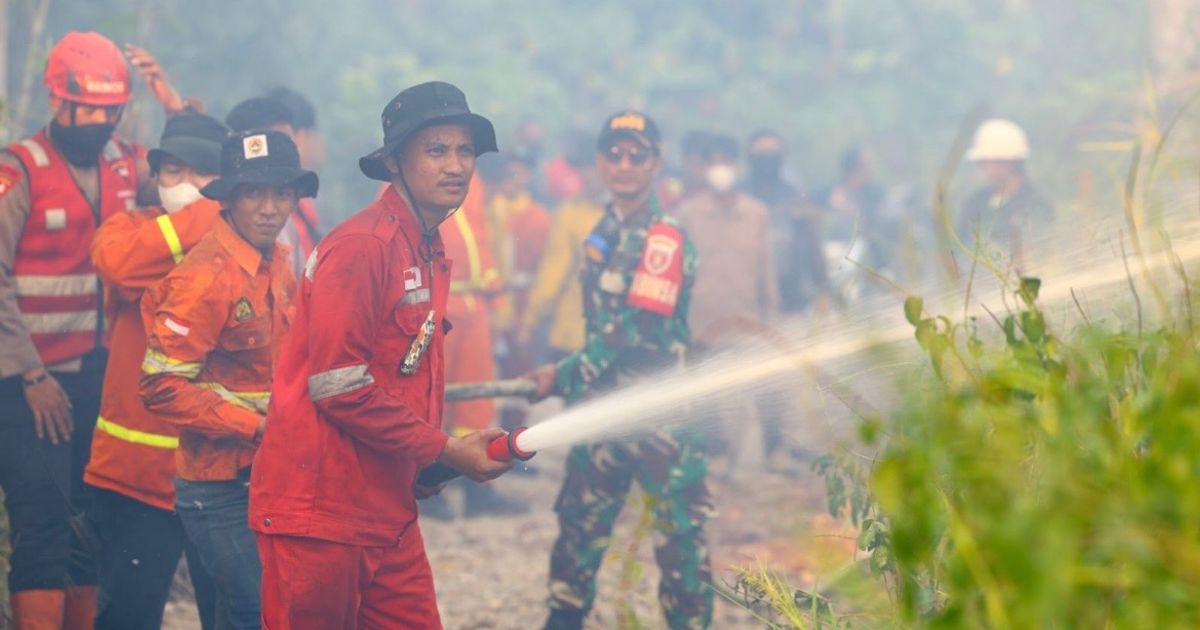 Otorita IKN Jatuhkan Sanksi ke Satu Perusahaan Perkebunan, Laporan Pidana Pembakaran Masuk Penyidikan