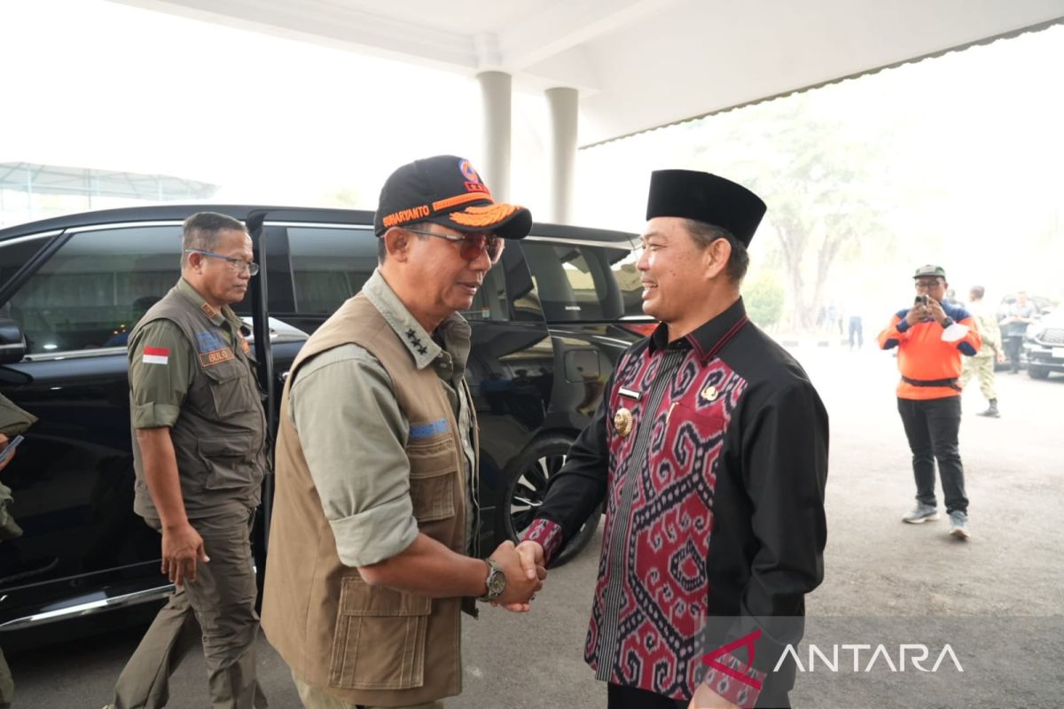 BNPB Verifikasi 61 dari 166 Hotspot di Kalimantan Barat, Luas Lahan Terbakar Capai 38.310 Hektare