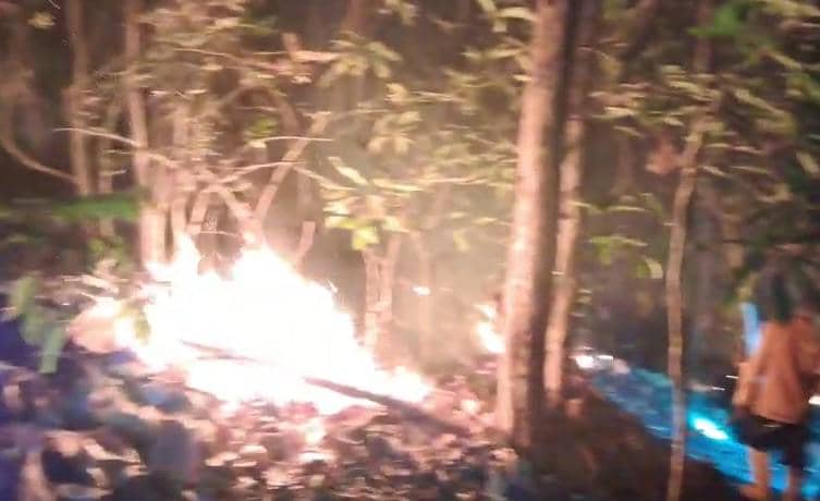 Kebakaran Hutan Hanguskan 5 Hektare Kawasan TWA Lejja Soppeng, BBKSDA Sulsel Siagakan Personel Manggala Agni
