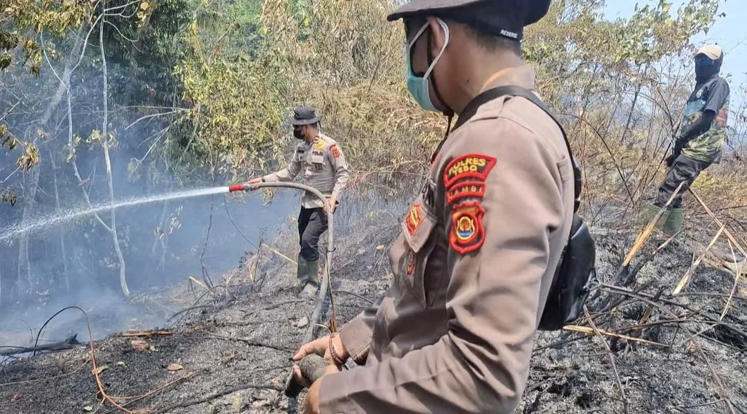 Luas Lahan Terbakar di Tebo Capai 86 Hektare, Polisi Kerahkan Personel ke Empat Kecamatan