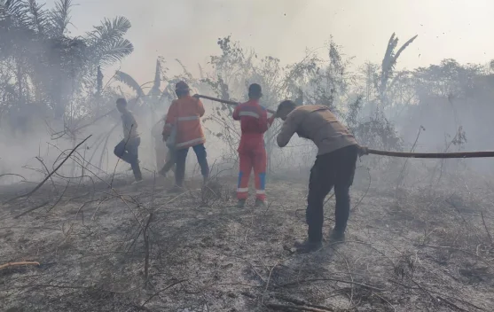 Lahan di Bacan Terbakar, Polres Halmahera Selatan Terjunkan Personel Padamkan Api Dekat Permukiman Warga