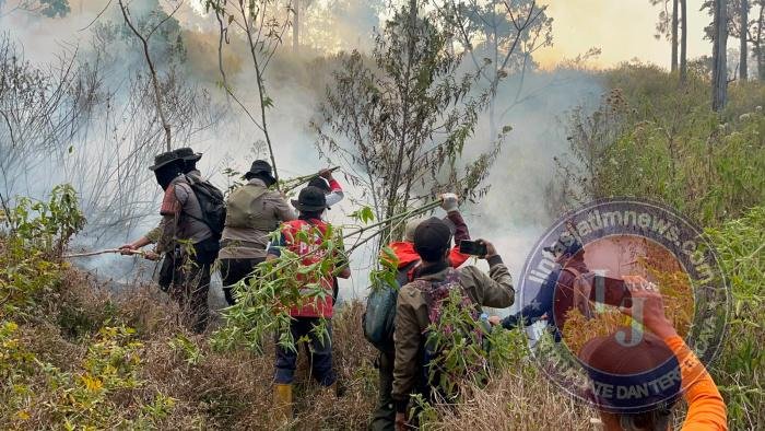 Jalur Pendakian Gunung Buthak dan Panderman Ditutup Total Usai Karhutla Hanguskan 15 Hektar Lahan di Pujon
