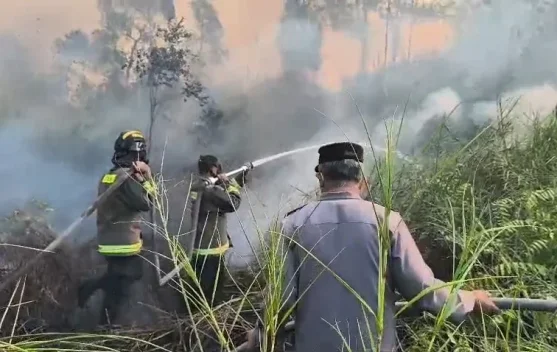 Antisipasi Kemarau 5 Bulan di Lebak, Polisi Sisir Titik Rawan Cegah Kebakaran Hutan dan Lahan