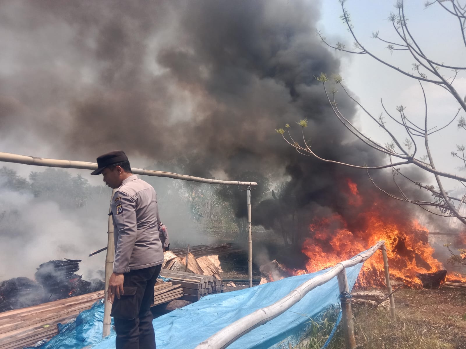 Kebakaran Lahan di Dekat Pemukiman Warga Sota Merauke, TNI-Polri Padamkan Api Secara Manual