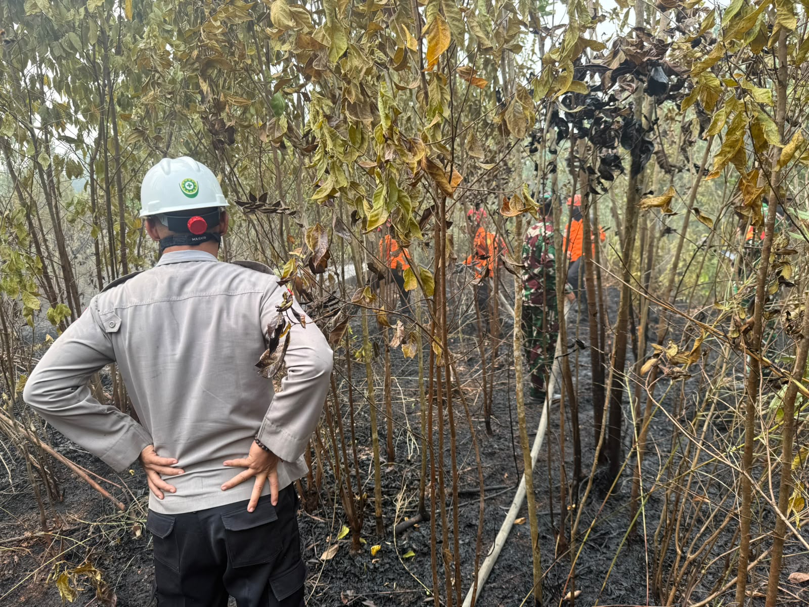 Hotspot di Bungo Capai 236 Titik, Luas Lahan Terbakar Mendekati 17 Hektare