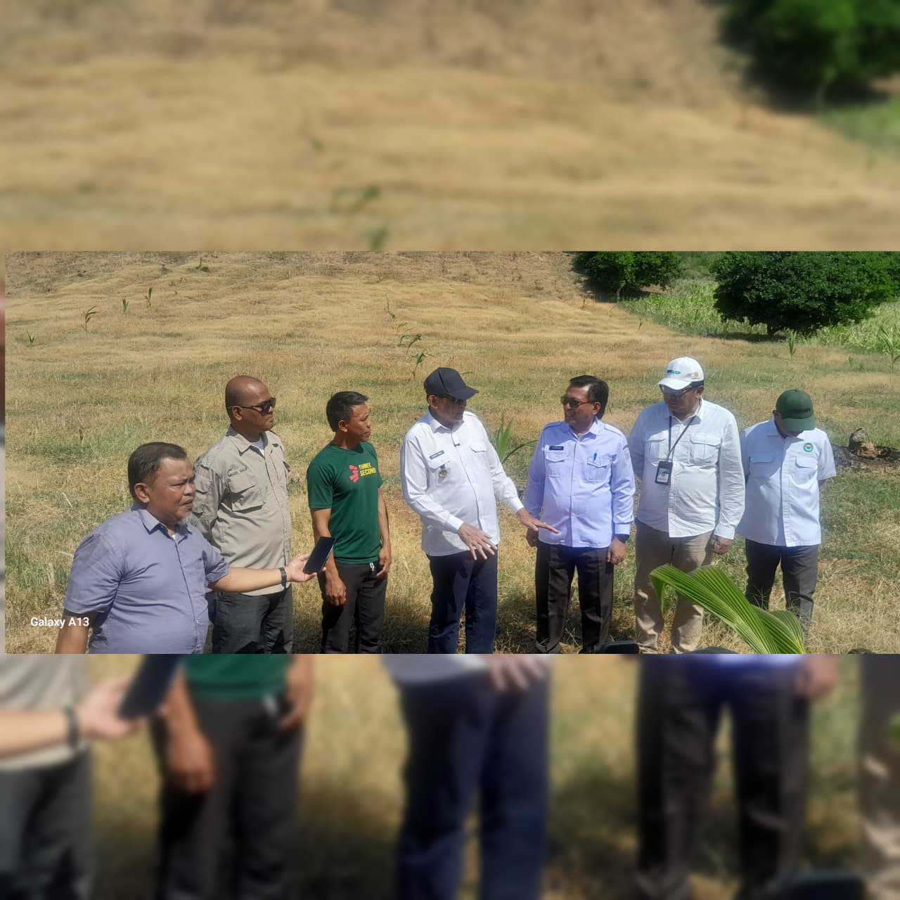 Disnakbun Gorontalo Dorong Petani Kelapa dan Kakao Olah Hasil Bumi Sendiri, Target Naik Kelas ke Pasar Ekspor