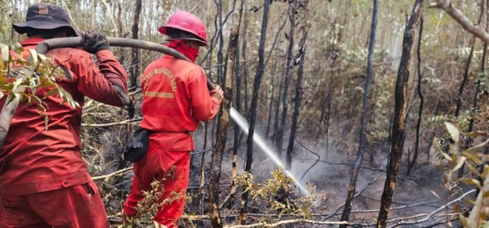 Amunisi Karhutla Sumsel Bertambah, Polri Pasok 4.000 Liter Formula X-Fire Khusus Gambut