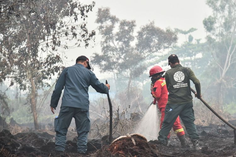 Hujan Guyur Kalimantan Barat, 124 Titik Panas Masih Terpantau dan Operasi Karhutla Difokuskan ke Tiga Provinsi